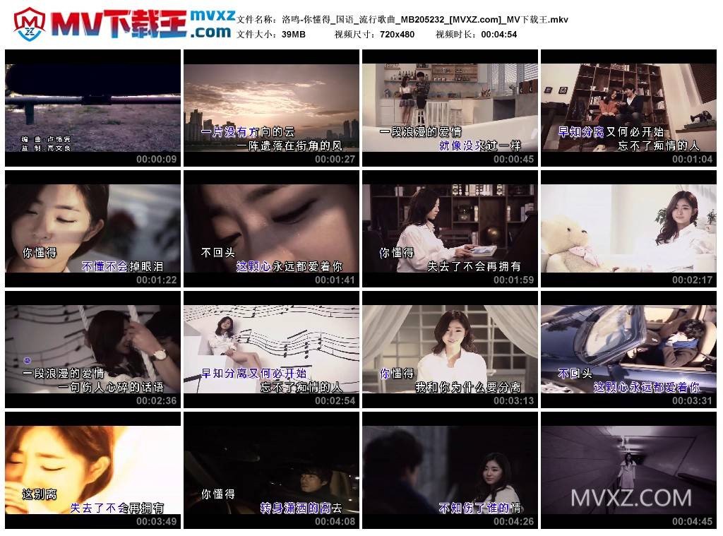 洛鸣-你懂得_国语_流行歌曲_MB205232
